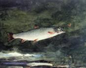 温斯洛 荷默 : Leaping Trout